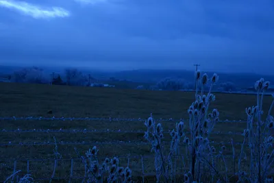 DSC_1098 (Large).JPG